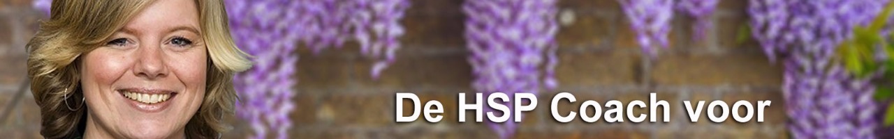 HSP Ondernemerscoach