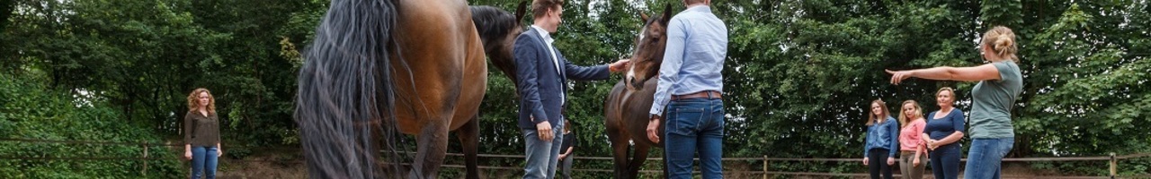 Platvoet coaching en training