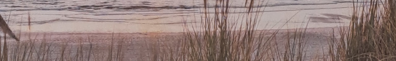 Karin Nickenig - Online-Seminare Rechnungswesen und Steuern