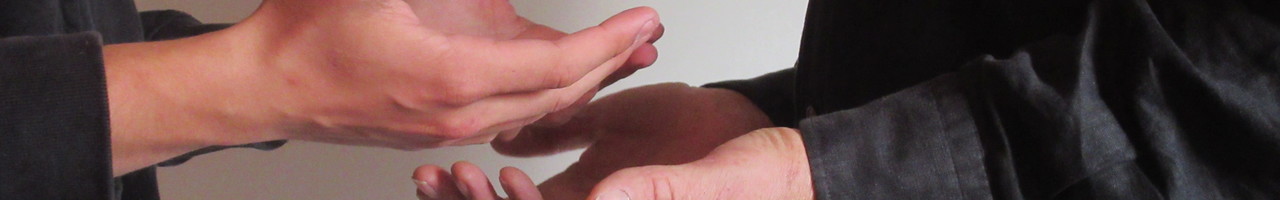 Academie voor Systemisch Werk