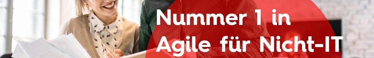 Agile Scrum Group
