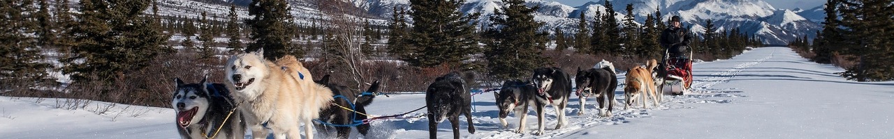 De Teamontwikkelaars