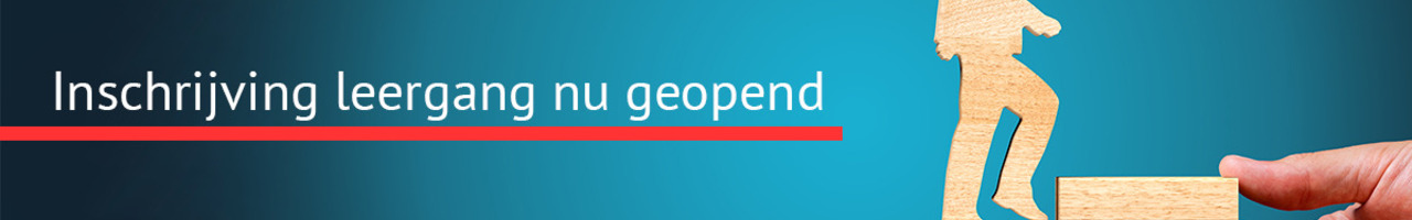 Van den Broek en Partners