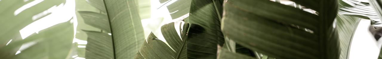 Mijn Online Onderneming