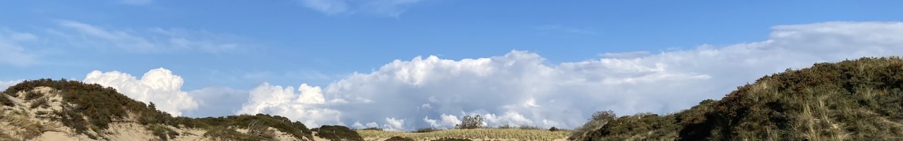 Buitenpraktijk Mirjam Rutten