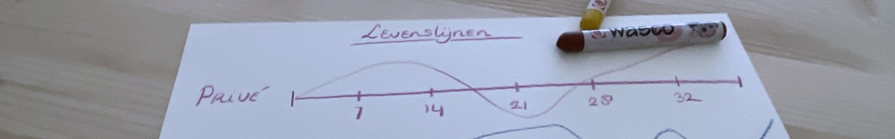 Trainingsburo Het 1e Huis