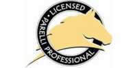 Logo van Lannoo Horsemanship Logo van Lannoo Horsemanship