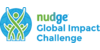 Logo van Nudge Academy BV