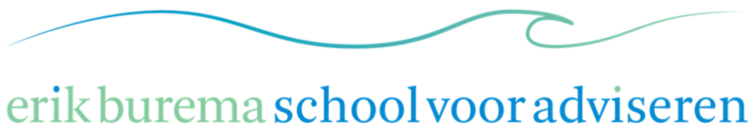 Erik Burema / School voor Adviseren